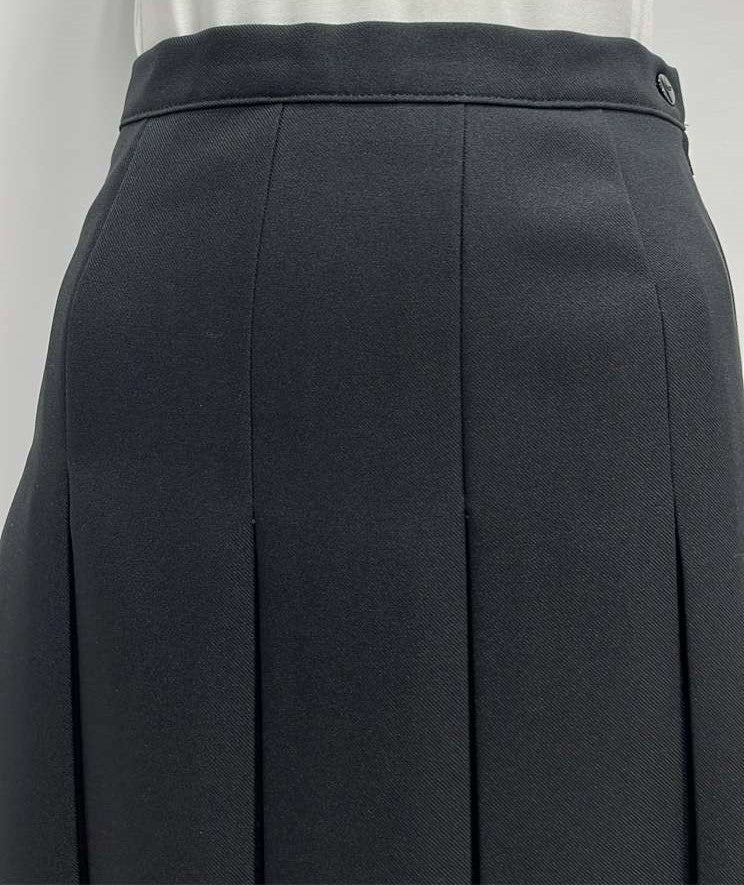 WINDERMERE DRESSY BOX PLEATED SKIRT-31 BLACK